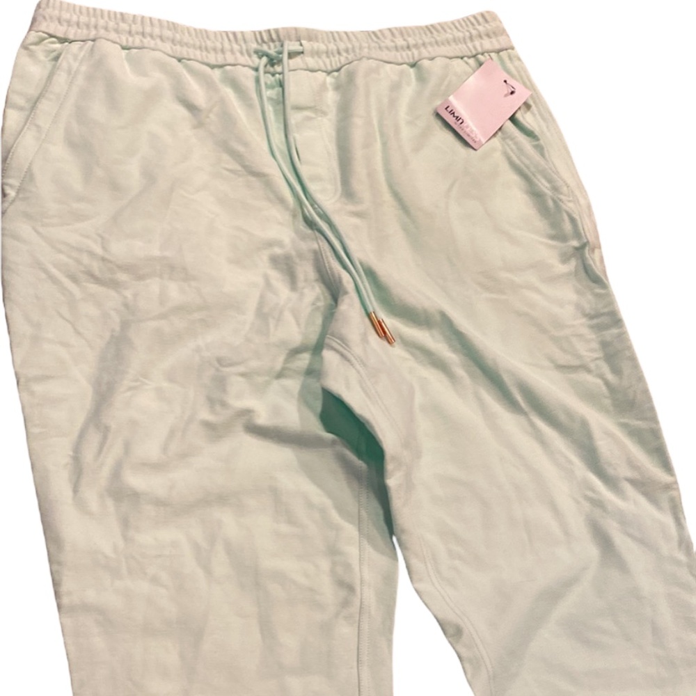 Limited Brand Mint green sweatpants size xl